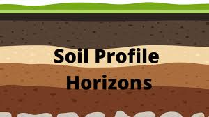 Soil Profile And Soil Horizons Youtube