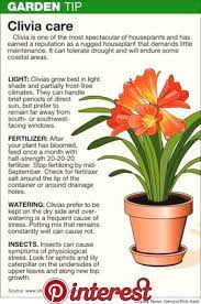 Firmly press down the mix and water well. Bend Weekly News For Bend Oregon Landscapin Plants Indoor Plants Winter Plants Winter Plants Plants Indoor Plant Care