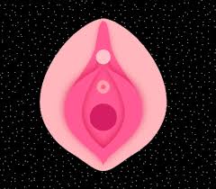 Hymens can come in different shapes. Why We Can T Shake The Myth That The Hymen Is Proof Of Virginity The Swaddle