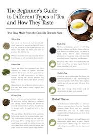 the beginners guide to different types of tea and how they