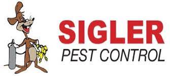 Some of the best pest control companies in san diego are terminix, orkin, aptive, and rentokil. Expert Pest Control Chico Ca Sigler Pest Control Inc