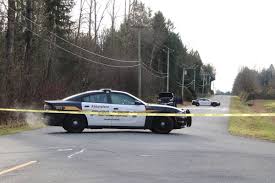 Torched Truck Found In Abbotsford An Hour After Killing In Surrey Aldergrove Star