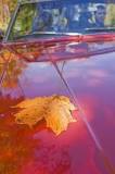 Image result for how do you straighten a car hood