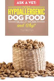 Ask A Vet Do Hypoallergenic Dog Foods Really Work Hypoallergenic Dog Food Dog Food Recipes Healthy Dog Food Recipes