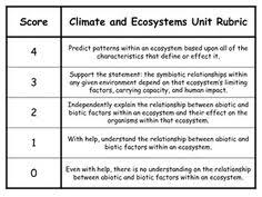 This Document Provides A Unit Rubric For The Climate And Ecosystems Unit It Includes A 4 Point Scale Space For Key Term De Ecosystems Unit Rubrics Ecosystems