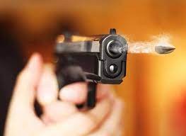 | meaning, pronunciation, translations and examples. The Zen Of Pistol Shooting
