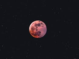 The full pink moon will occur on the 7th of april. Super Pink Moon To Fill The Night Sky On April 8