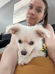 Is this a group for sharing sweet pups or rescues/adoption?