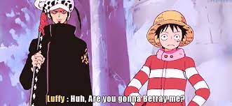 Luffy Law One Piece Luffy One Piece Gif One Piece Funny