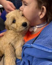 Minnewaska Area Schools