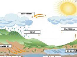 Contoh iklan slogan dan poster pendidikan kesehatan motivasi lingkungan hidup contoh iklan poster niaga layanan masyarakat makanan prouk dan masih banyak lagi yang lainnya. Jenis Siklus Air Pengertian Jenis Gambar Dan Penjelasan