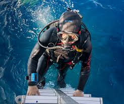 Deep sea diving suit 2020. Bare Sports Wetsuits And Drysuits For Scuba Diving And Water Sports