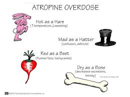 Image result for Cholinergic Toxicity