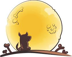 Maybe you would like to learn more about one of these? Reviewing The Best Pet Insurance In Canada 2020