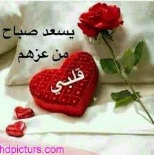 صباح الخير حبيبي 2017 صور صباح الخير حبيبتي جميلة Good Morning Images Flowers Sugar Cookie Good Morning Images