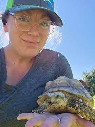 Are there any sulcata friends near St. Louis, MO?