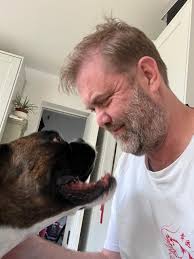 Looking for two things: Dog sitters House cleaner We have been recommended  people before but not from this area. We live in Wellington and prefer  people that are local.