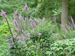 We pride ourselves on the standard of our work and offer great results. Cj Garden Design In Horsham Rated People