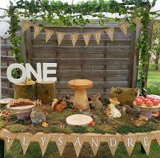 Anniversaire Enfant 1 An Theme Animaux De La Foret Deco Anniversaire 1 An Anniversaire Nature Decoration Pour Garcon