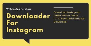 Download photos from private insta account without restrictions. Free Download Instagram Downloader Download Instagram Video Photo Igtv Reels Story Nulled Latest Version Bignulled