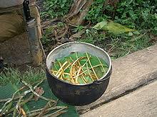 The homepage of the 'great medicine' of the amazon. Ayahuasca Wikipedia