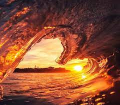 This is due to the setting sun casting a golden overcast on everything. 50 000 Best Sunset Photos 100 Free Download Pexels Stock Photos