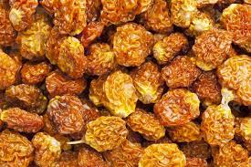 Organic Dried Inca Berries Physalis Health Ingredients Trading