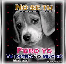 Sign In Te Extrano Emoticonos Animados Imagen Te Extrano