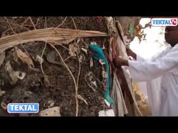 Djanguina et le grand public de sissoko habbatu sauda font vibrer le stade. Download Tektal Mp4 Mp3 Gidiportal Netnaija Fzmovies