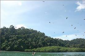 I chose d tours kuala selangor as my guide. D Tour Kuala Selangor Jetty Of Sky Mirror Tour Blue Tears Tour Eagle Feeding Tour Firefly Tour And Atv Experience