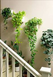 36 Cute Hanging Plants To Decorate Your Interior Home In 2020 Plant Decor Indoor Indoor Plant Wall Plants