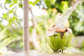 Coconut water / coconut drink. 11 Incredible Health Benefits Of Coconut Water Pharmeasy Blog