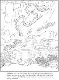 Get these animals on the following coloring pictures below. Pin On Work