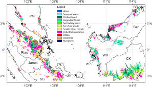 In malaysia, virgin lowland peat areas are often. Land Cover Distribution In The Peatlands Of Peninsular Malaysia Sumatra And Borneo In 2015 With Changes Since 1990 Sciencedirect