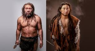 Neandertallerin en belirgin fiziksel özellikleri yüzlerinin geniş olması, köşeli çene kemikleri ve koca. Pin On Prehistoria
