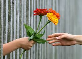 Their diet consists of nectar from flowers, tree sap, small insects such as fruit flies — and the contents of your feeder. 12 Awesome Reasons To Give Flowers To Someone You Loveonya Magazine