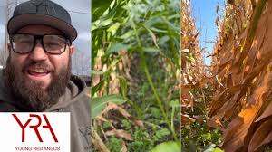 Strip-Till Highlights: January 17, 2023