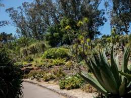 Sukkulenten eignen sich als deko wie kaum eine andere pflanze, nicht nur wegen ihrer außergewöhnlichen formen. Sukkulenten Arten Bestimmen Pflanzen Und Pflegen