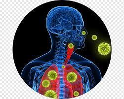 Retrouvez toutes les informations sur la légionellose sur le site de l'institut pasteur. Lunge Quadratkilometer Array Atemwegserkrankung Legionellose Gesundheit Gesundheit Luftverschmutzung Krankheit Elektrisches Blau Png Pngwing