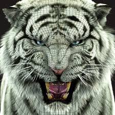 Akıllı ve hırslı bir genç olan balram halwai, fakir bir köylüdür. Massimo Righi White Tiger