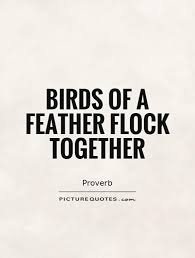 Proverb Birds Of The Same Feather Flock Together Picturequotes Com Bird Quotes Sneaky People Quotes Flamingos Quote