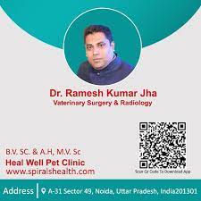 Maybe you would like to learn more about one of these? Dr Ramesh Kumar Jha Veterinary Surgeon Radiology Best Doctors Book Appointment Veterinary Surgeon