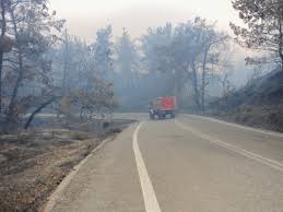 Με τις 5 εγκληματικές οργανώσεις βαρόνων της νύχτας. 7dltu3mzkorf3m