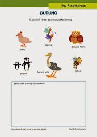 Belajar Anak Burung Animal Classification Birds Education Com