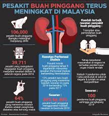 Look through examples of buah pinggang translation in sentences, listen to pronunciation and learn grammar. Bilangan Pesakit Buah Kementerian Kesihatan Malaysia Facebook