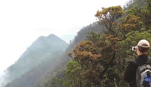 Stunning Bạch Mã National Park conserves unique biodiversity