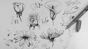 All the best simple rose sketch 37+ collected on this page. Pen Ink Drawing Tutorial How To Draw Flowers Flower Drawing Tutorials Ink Pen Drawings Drawings