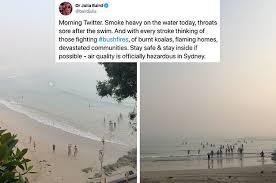 Check spelling or type a new query. Horrifying Photos Show Deadly Bushfires In Australia