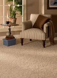 Buying A Carpet For Home Here Are Some Things To Know Yonohomedesign Com In 2020 Living Room Carpet Frieze Carpet Buying Carpet