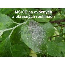 Image result for mospilan prodej